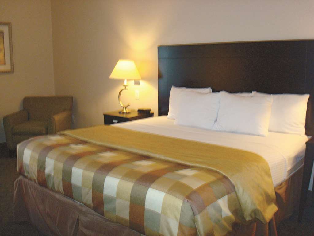 La Quinta Inn & Suites By Wyndham Pharr Rgv Medical Center Room photo